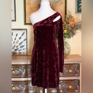 Charlotte Russe One-Shoulder Dress in Rich Burgundy Velvet